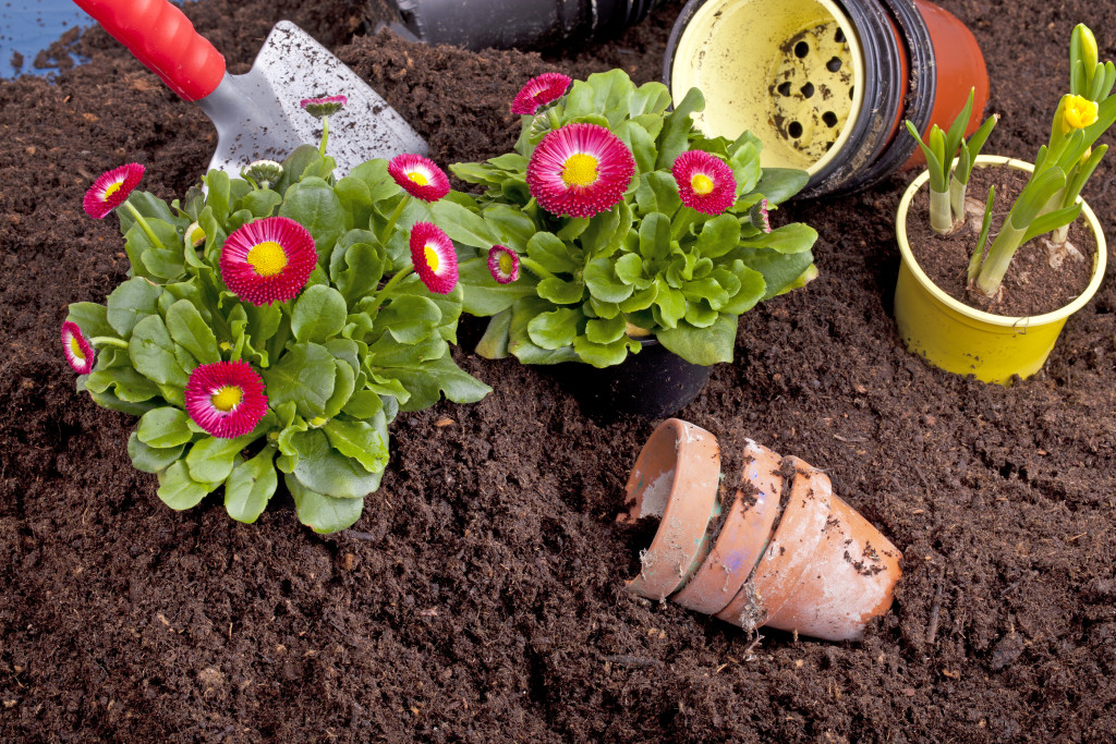 make sure you protect your plants from pests