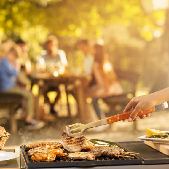 backyard pests summer bbq