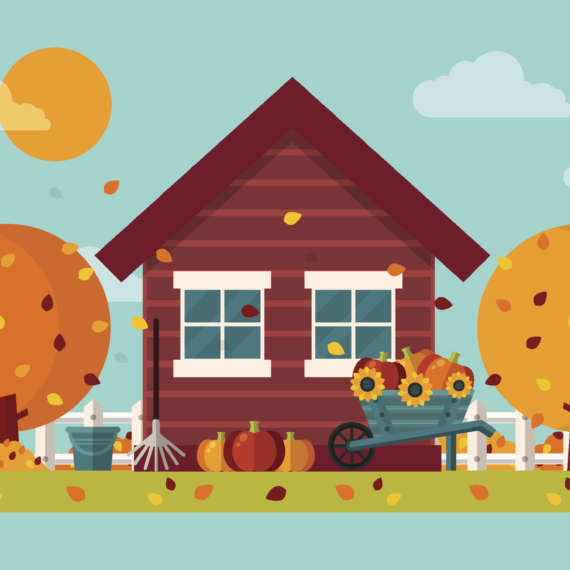 fall home pests