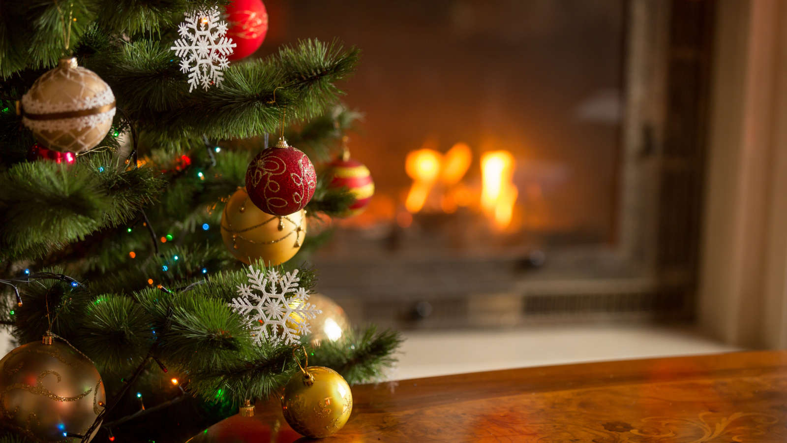 christmas trees and other decorations can hide pests and lead to further infestations