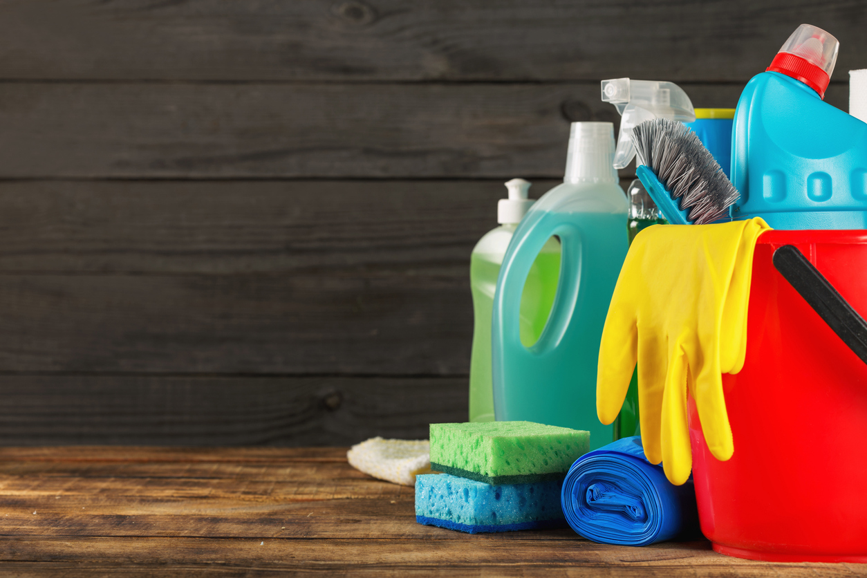 cleaning your home can significantly reduce your chances of a pest infestation