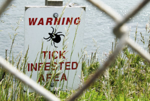 tick-pest-control